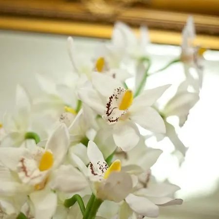 Residenza Marignoli Appartement Rome